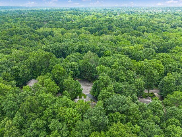 575 Woods Hollow Ln, Powell, OH 43065 - photo 81