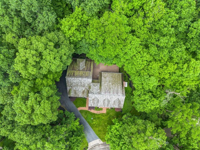 575 Woods Hollow Ln, Powell, OH 43065 - photo 82