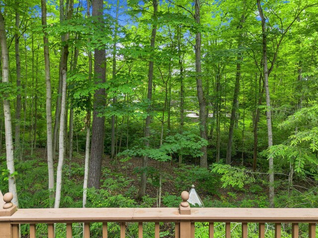 575 Woods Hollow Ln, Powell, OH 43065 - photo 86