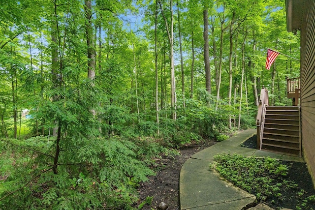 575 Woods Hollow Ln, Powell, OH 43065 - photo 87