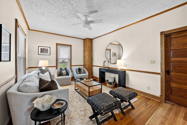 145 Franklin Ave, Westerville, OH 43081 - photo 5