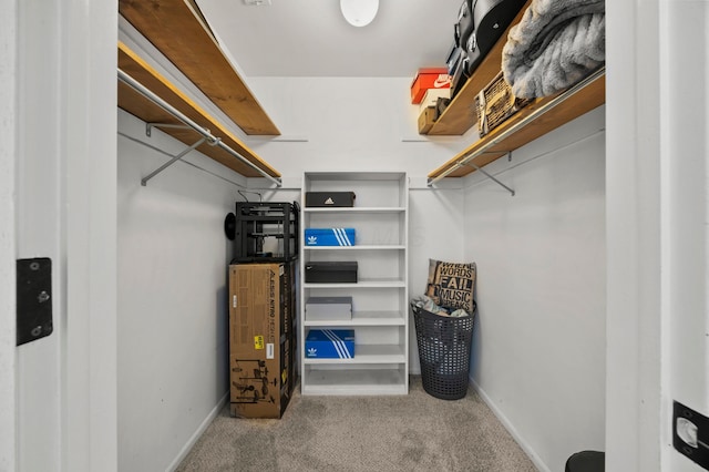298 Flint Ridge Dr, Columbus, OH 43230 - walk in closet featuring carpet floors