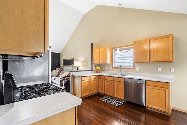 486 Ruffin Dr, Galloway, OH 43119 - kitchen with stainless steel dishwasher, dark wood-style floors, gas stove, light countertops, and high vaulted ceiling