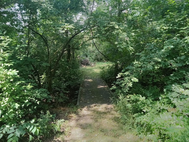 6978 Cook-Jones Rd, Waynesville, OH 45068 - view of tree filled area