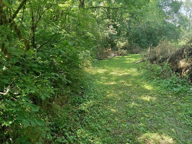 6978 Cook-Jones Rd, Waynesville, OH 45068 - view of green lawn with a wooded view