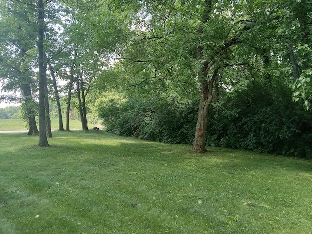 6978 Cook-Jones Rd, Waynesville, OH 45068 - view of grassy yard