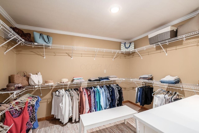 2591 Apple Valley Dr, Howard, OH 43028 - walk in closet featuring wood finished floors