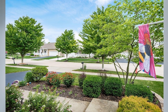 6085 Lambright St, Westerville, OH 43081 - photo 3