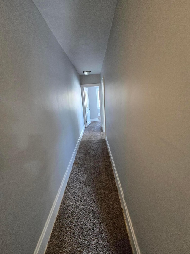 2205-2207 Sullivant Ave, Columbus, OH 43223 - hallway with dark colored carpet and baseboards
