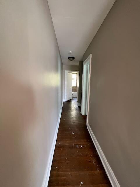 1514-1516 E 26th Ave, Columbus, OH 43211 - hallway featuring dark wood-type flooring and baseboards