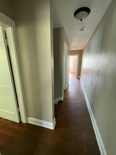 1514-1516 E 26th Ave, Columbus, OH 43211 - hallway with wood-type flooring and baseboards