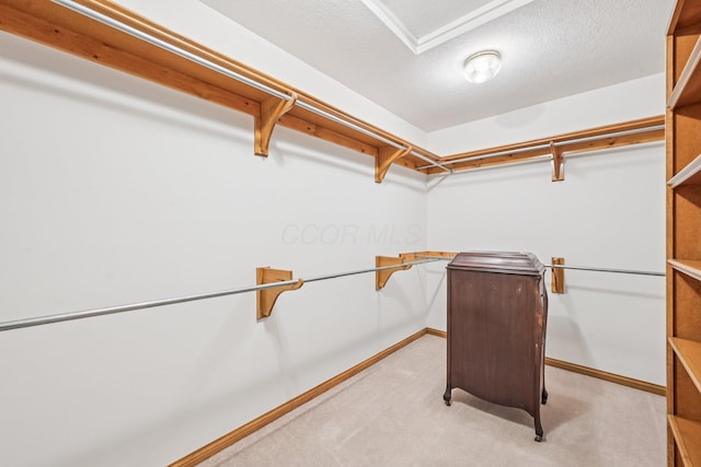 1318 Retreat Ln, New Albany, OH 43054 - walk in closet featuring light carpet