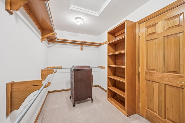 1318 Retreat Ln, New Albany, OH 43054 - spacious closet featuring carpet
