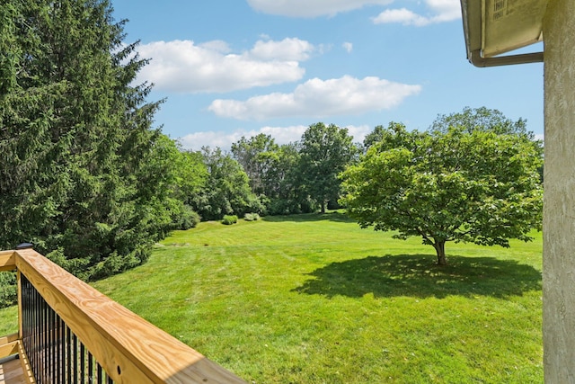 1318 Retreat Ln, New Albany, OH 43054 - view of grassy yard