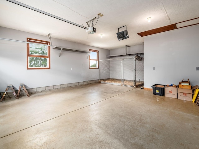 6130 Steamtown Rd, Ashley, OH 43003 - photo 36