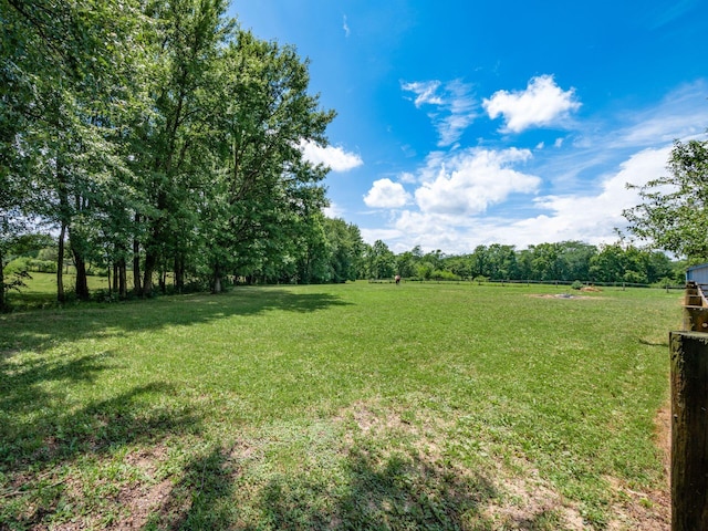 6130 Steamtown Rd, Ashley, OH 43003 - photo 51