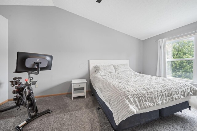 920 Military Dr, Galloway, OH 43119 - photo 15