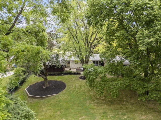 4289 Shelbourne Ln, Columbus, OH 43220 - view of green lawn