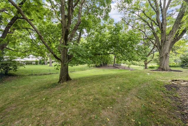 4289 Shelbourne Ln, Columbus, OH 43220 - view of yard