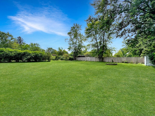 4713 Haughn Rd, Grove City, OH 43123 - view of yard