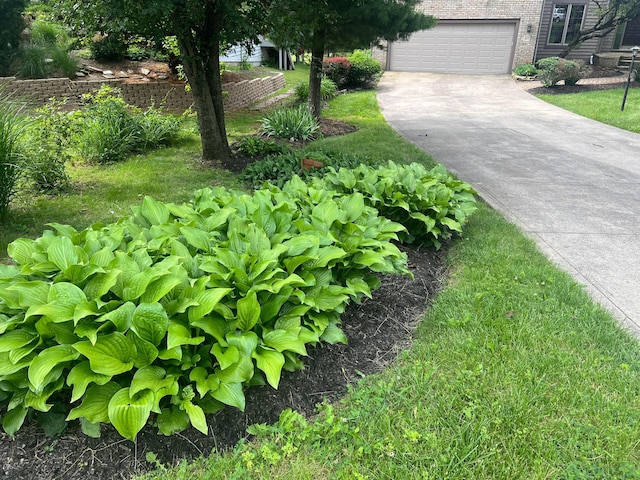 471 Old Mill Dr, Columbus, OH 43230 - view of yard featuring driveway