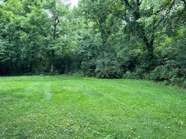 471 Old Mill Dr, Columbus, OH 43230 - view of yard with a forest view