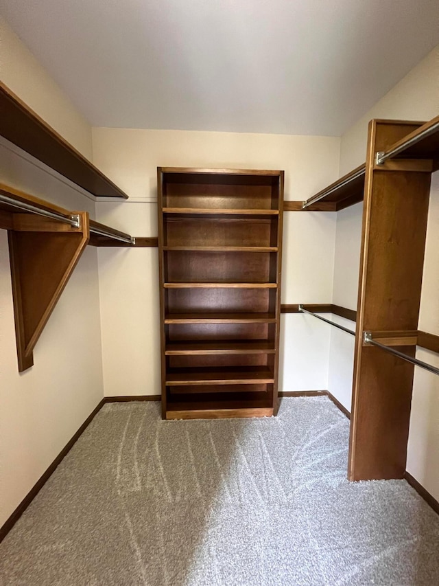 471 Old Mill Dr, Columbus, OH 43230 - spacious closet with carpet flooring