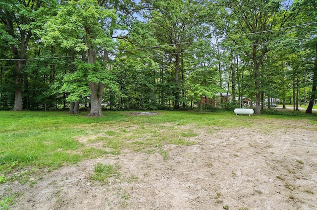 4615 County Road 23, Cardington, OH 43315 - view of yard