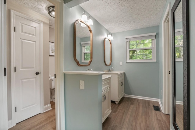 712 Suntree Dr, Westerville, OH 43081 - bathroom featuring vanity, wood finished floors, and a textured ceiling