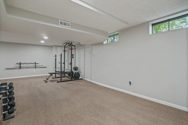 712 Suntree Dr, Westerville, OH 43081 - workout room with carpet floors, plenty of natural light, and a textured ceiling