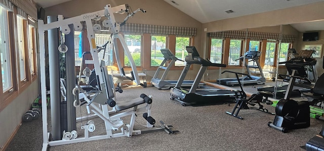 595 Piney Glen Dr, Columbus, OH 43230 - gym featuring vaulted ceiling and carpet floors