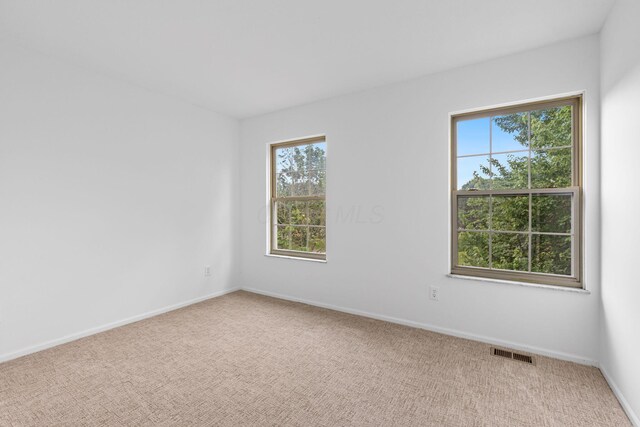 279 Richards Cir, Delaware, OH 43015 - photo 37