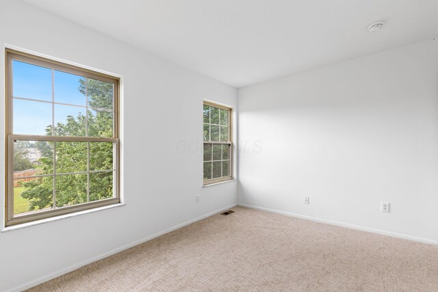 279 Richards Cir, Delaware, OH 43015 - photo 38