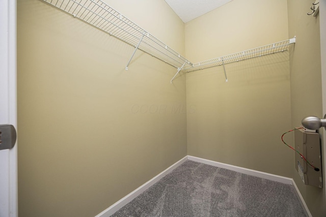 5654 Caledonia Dr, Westerville, OH 43081 - spacious closet with dark carpet