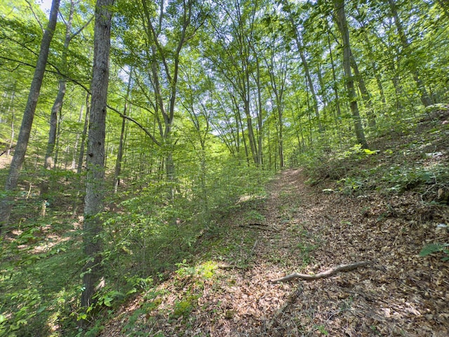 53461 State Route 671, Londonderry, OH 45647