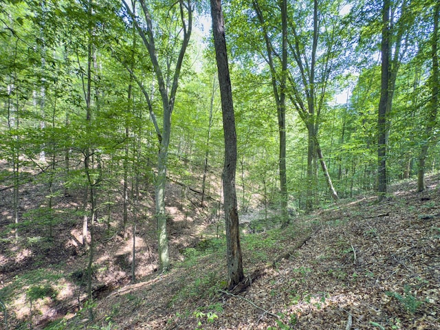 53461 State Route 671, Londonderry, OH 45647