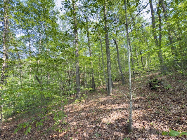 53461 State Route 671, Londonderry, OH 45647
