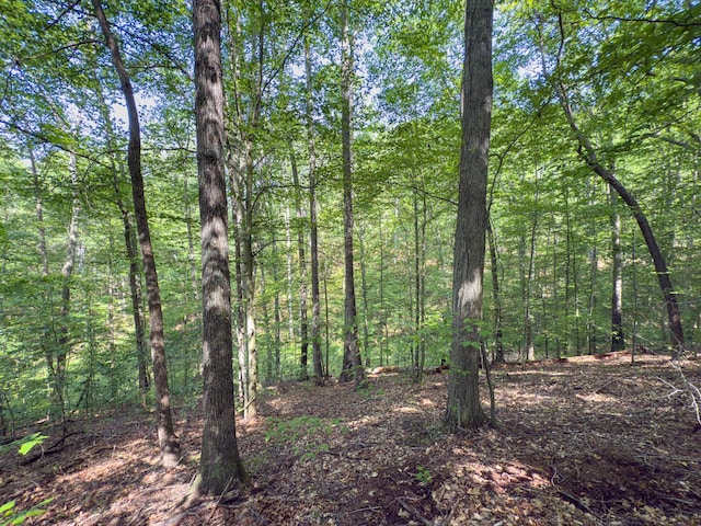 53461 State Route 671, Londonderry, OH 45647