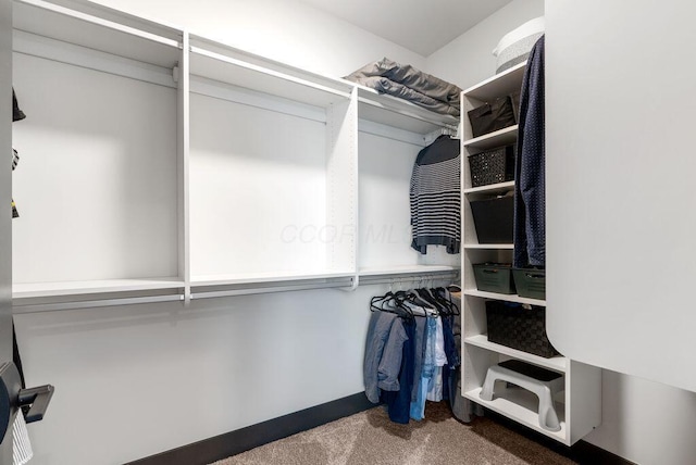 954 Hudson Xing, Columbus, OH 43212 - spacious closet with carpet flooring