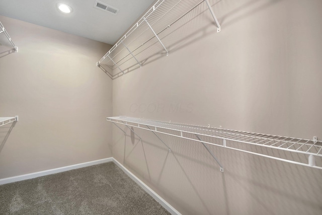 752 Whitetail Lp, Newark, OH 43055 - spacious closet featuring carpet floors