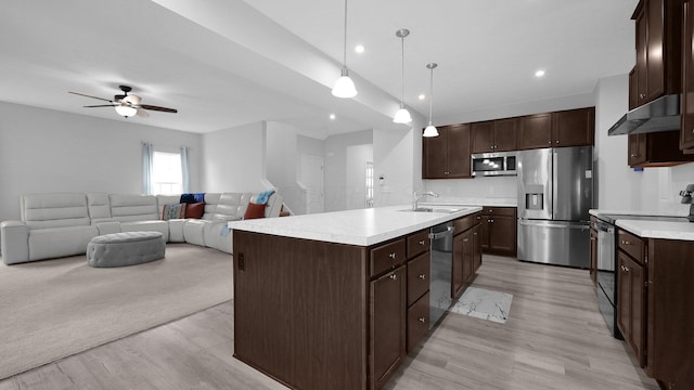 336 Onyx Ln, Delaware, OH 43015 - kitchen featuring appliances with stainless steel finishes, under cabinet range hood, light wood-type flooring, a ceiling fan, and dark brown cabinets
