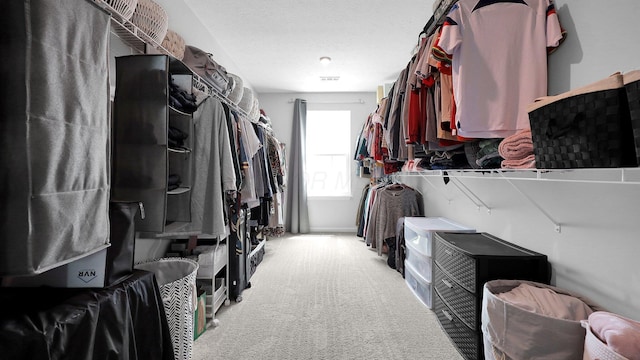 336 Onyx Ln, Delaware, OH 43015 - walk in closet with light carpet