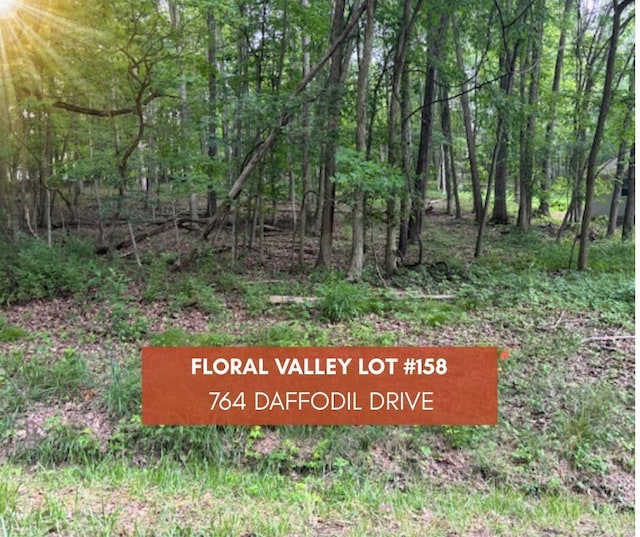 674 Daffodil Dr, Howard, OH 43028