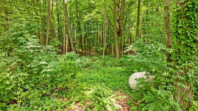 890 Elm Dr, Columbus, OH 43235 - view of woods