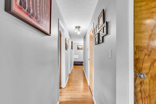 890 Elm Dr, Columbus, OH 43235 - corridor featuring light wood-type flooring and a textured ceiling