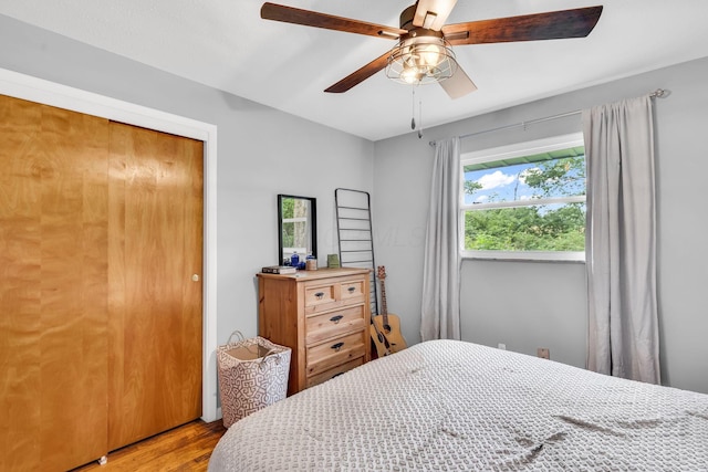 890 Elm Dr, Columbus, OH 43235 - bedroom with wood finished floors and ceiling fan