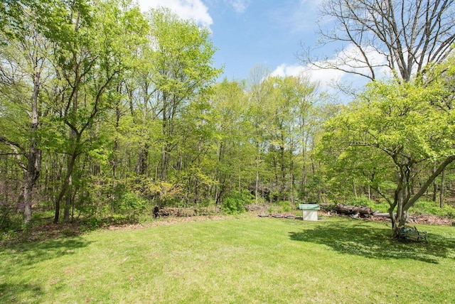 890 Elm Dr, Columbus, OH 43235 - view of grassy yard