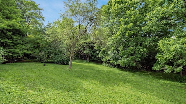 2830 Silver St, Granville, OH 43023 - view of green lawn with a wooded view