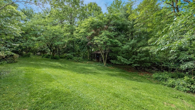 2830 Silver St, Granville, OH 43023 - view of grassy yard with a view of trees