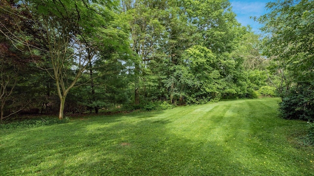 2830 Silver St, Granville, OH 43023 - view of green lawn featuring a view of trees